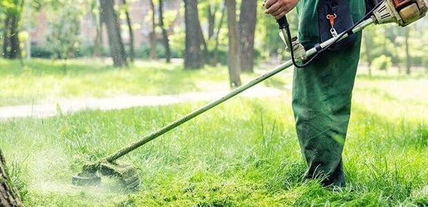 Προσλήψεις 14 εργατών πρασίνου και οδηγών